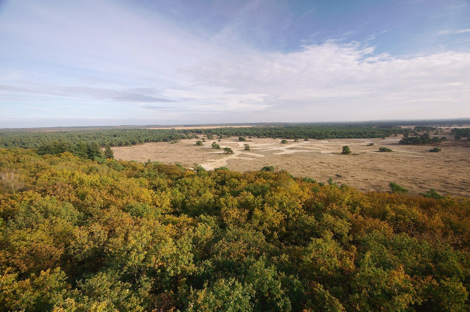Ontdek het mooiste recreatieaanbod van de Veluwe